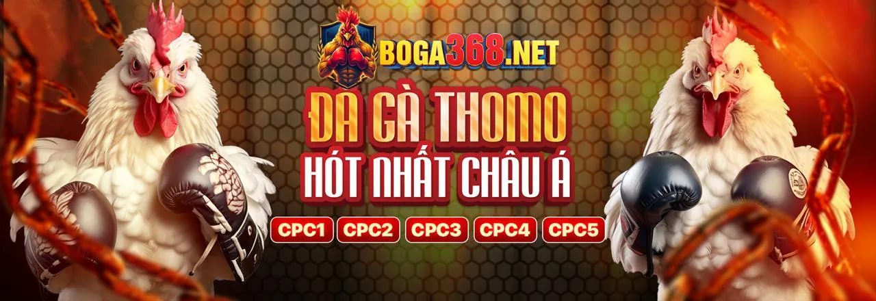 Đá gà GI88 trực tuyến kịch tính